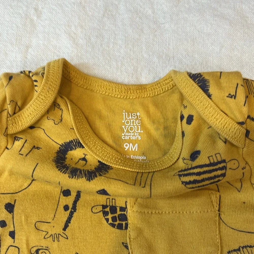 Bundle of 9 Month Bodysuits